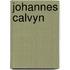 Johannes calvyn