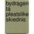 Bydragen ta pleatslike skiednis
