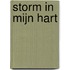 Storm in mijn hart