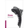 Zizek door Marc De Kesel