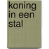 Koning in een stal