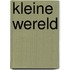Kleine wereld