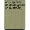 Op stap naar de derde graad SO (A-stroom) door Dirk Verrycken