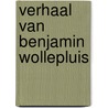 Verhaal van benjamin wollepluis door Potter