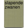 Slapende zwanen door Nathusius