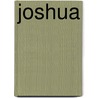 Joshua door J. Stonewashed