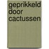 Geprikkeld door cactussen