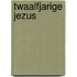 Twaalfjarige jezus