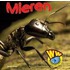 Mieren