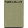 Organisatieleer by B. Overlaet