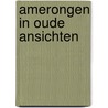 Amerongen in oude ansichten door Barneveld