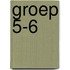 groep 5-6