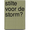 Stilte voor de storm? by Unknown