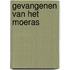 Gevangenen van het moeras