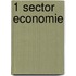 1 Sector economie