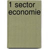 1 Sector economie door Judy Beppie