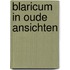 Blaricum in oude ansichten