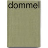 Dommel door Rodrigue