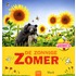 De zonnige zomer