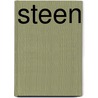 Steen by Dirk Bracke