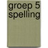 Groep 5 spelling