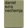 Daniel Ezra Nechemja door A.S. Koster