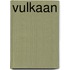 Vulkaan
