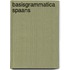 Basisgrammatica Spaans