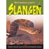 Slangen