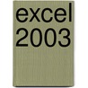 Excel 2003 door R. Bosman
