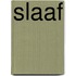 Slaaf