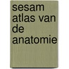 Sesam Atlas van de Anatomie door W. Kuhnel