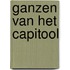 Ganzen van het capitool