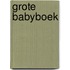 Grote babyboek
