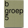 B groep 5 door Onbekend