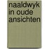 Naaldwyk in oude ansichten