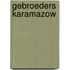 Gebroeders karamazow