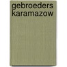 Gebroeders karamazow door Dostojewski