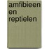 Amfibieen en reptielen