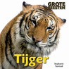 Tijger by Turnbull