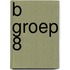 B groep 8