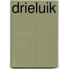 Drieluik by Jos van Manen Pieters