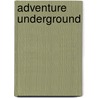 Adventure underground door Webster