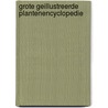 Grote geillustreerde plantenencyclopedie door Niko Kuipers