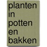 Planten in potten en bakken door R. Waite