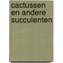 Cactussen en andere succulenten