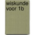 wiskunde voor 1b
