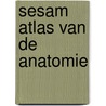 Sesam atlas van de anatomie door Kahle