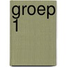 Groep 1 by S. Livatyale