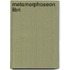 Metamorphoseon libri